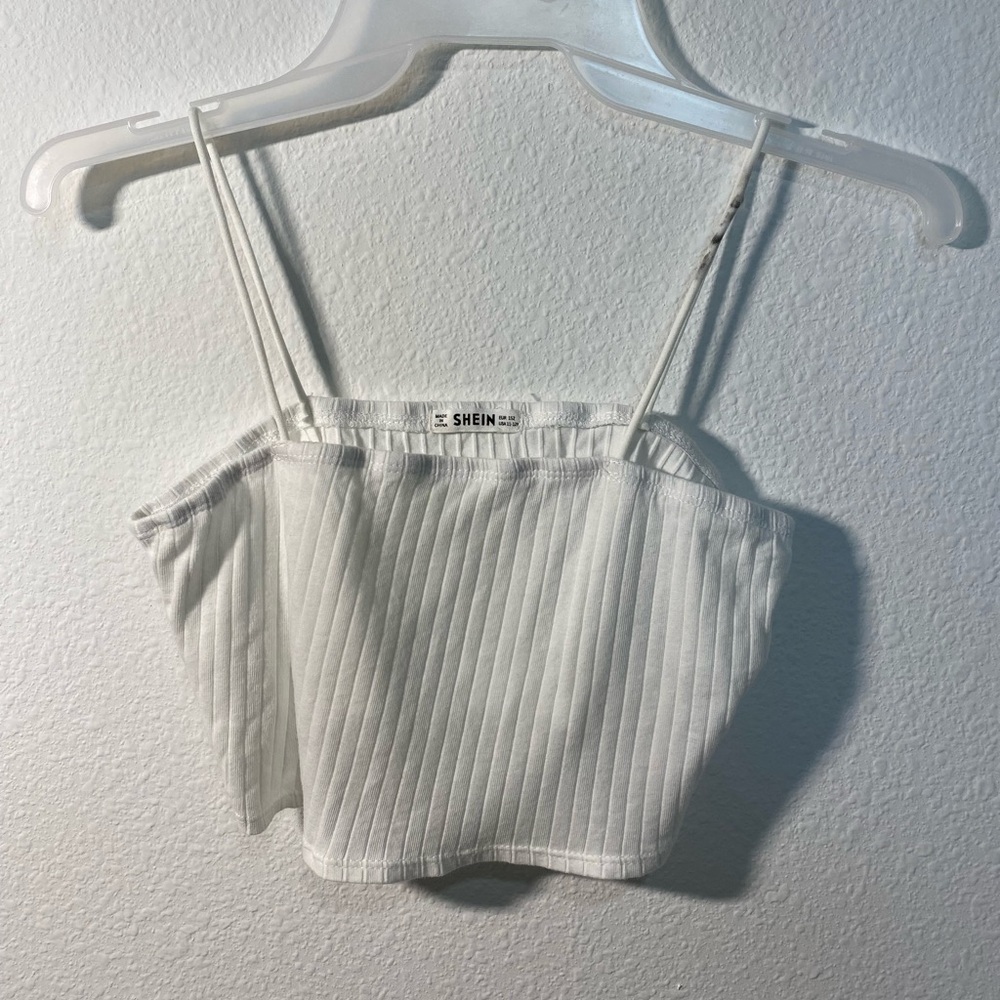 Shein White Crop Top and Mint Butterfly Skirt
